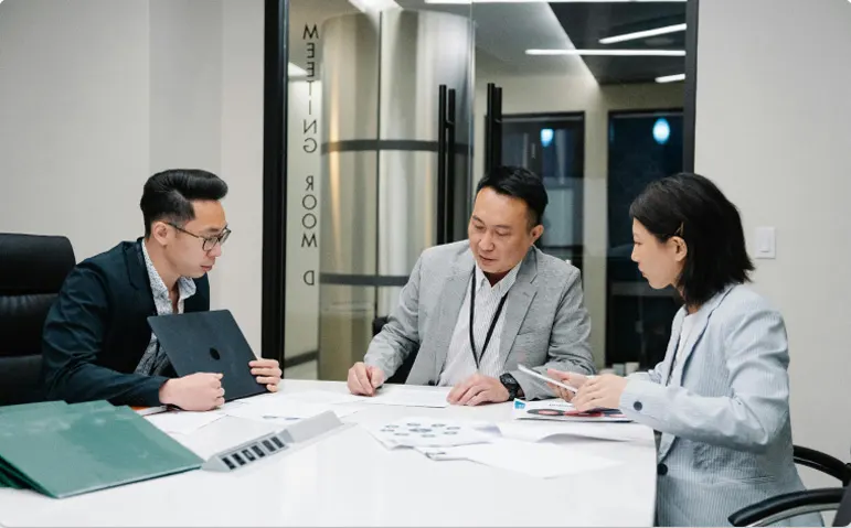 业务设立、发展与治理支持